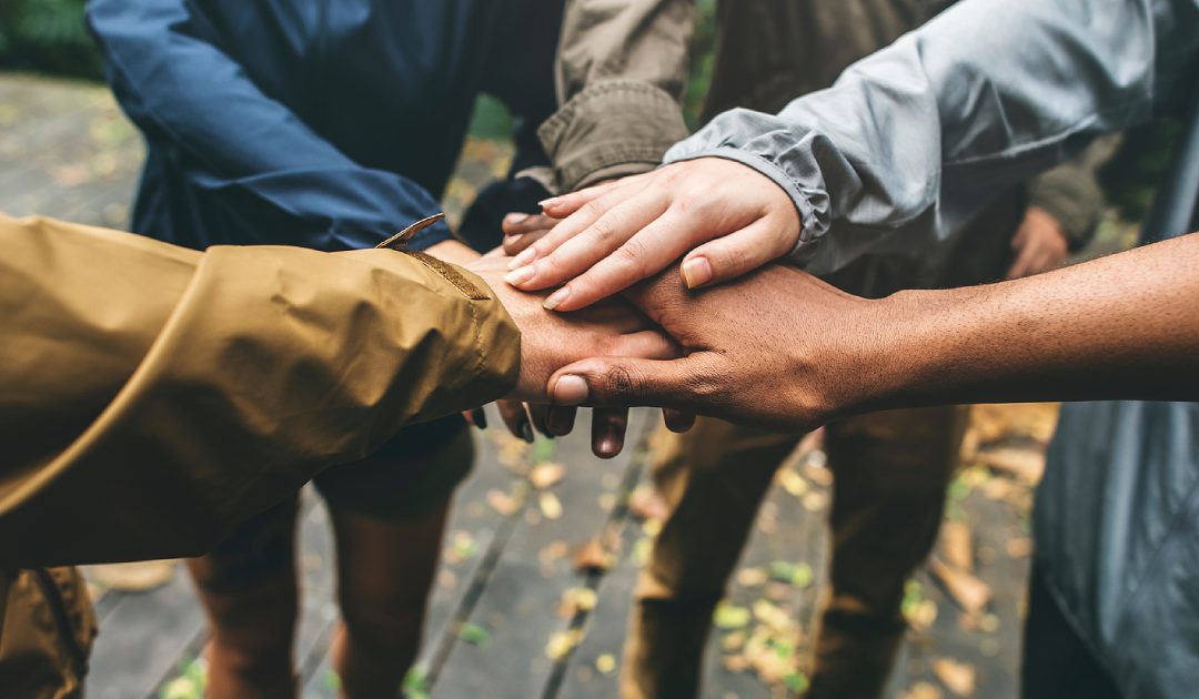 Team Spirit Elevated: Custom Jackets for Corporate Retreats